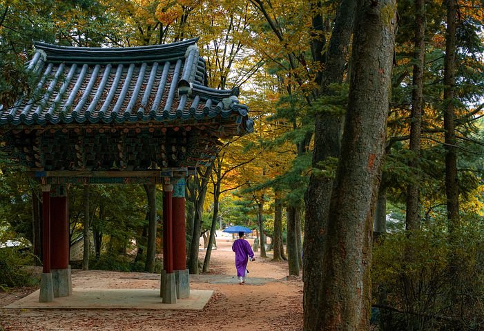 Korea1