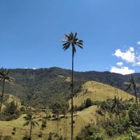 Eje cafetero