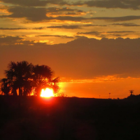 Llanos Orientales